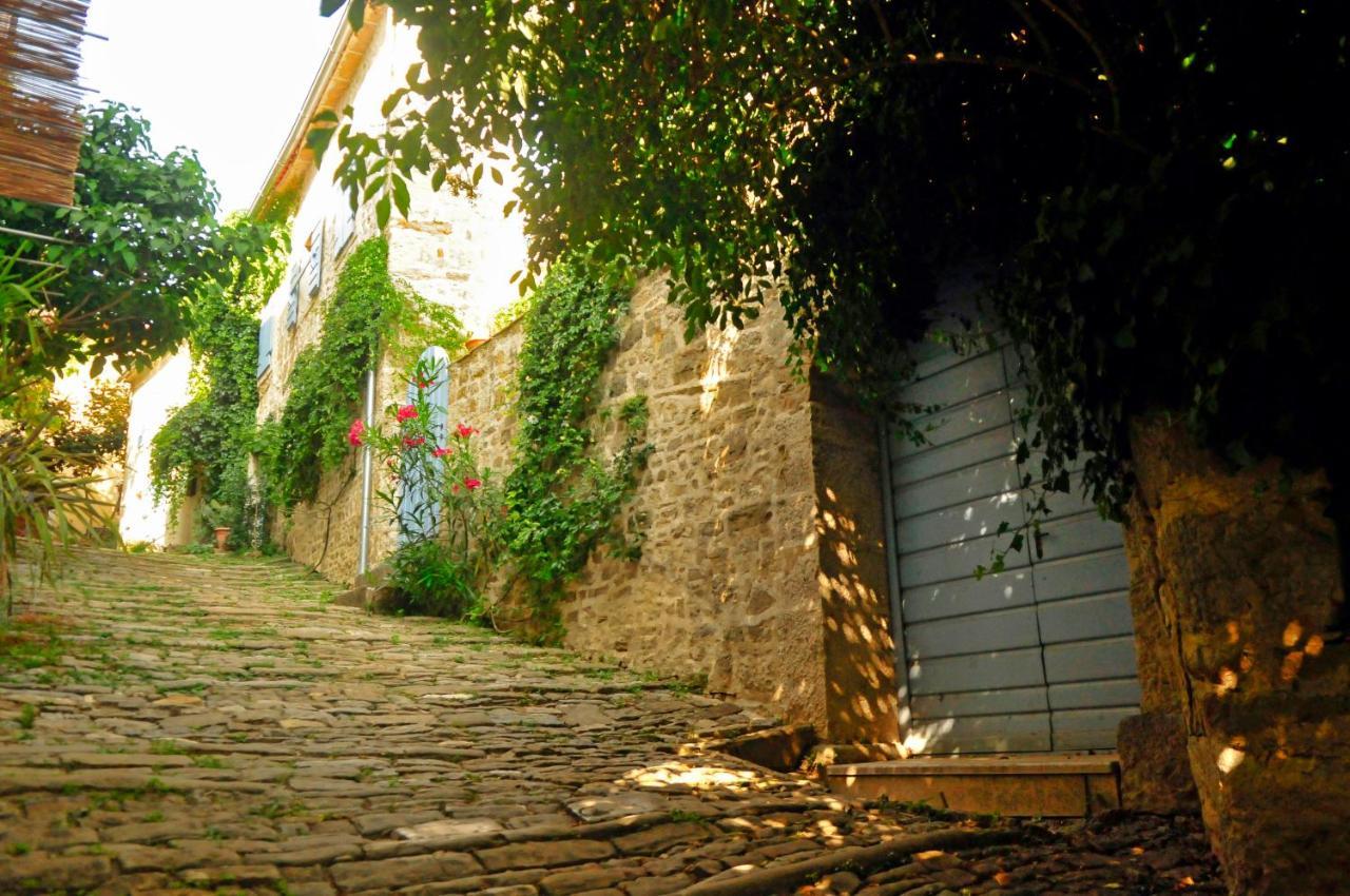 فيلا Ruine-Motovun Dh المظهر الخارجي الصورة